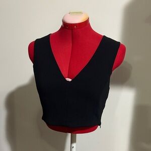 Wilfred Black V-Neck Crop Top